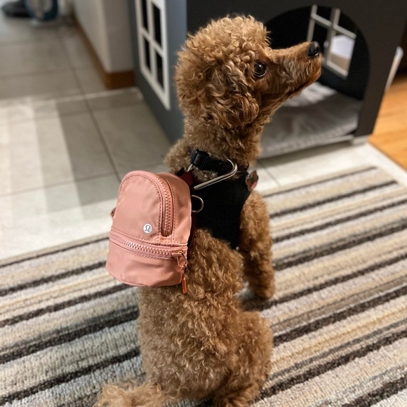 HP 🧡 Lululemon Nano Backpack City Adventurer Carabiner - Picture 11 of 11